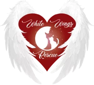 White Wings Rescue
