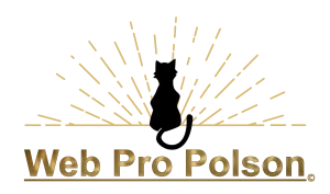 Web Pro Polson