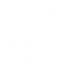 Mission Valley Christian Academy logo
