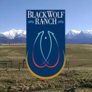 Black Wolf Ranch & Fiber
