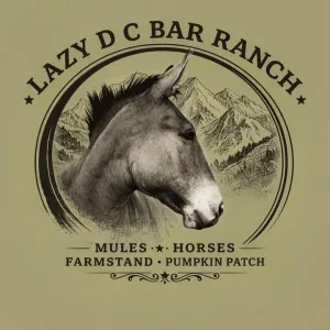 Lazy D C Bar Ranch