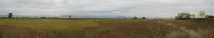 Ninepipe Wildlife Area wetlands seen from U.S. 93 near Charlo, Montana