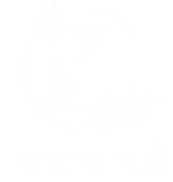 ZJ Rentals