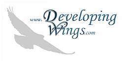Developing Wings, Inc. – AI & Virtual Tours