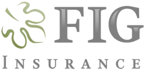 FIG Financial Insurance Group
