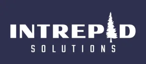 Intrepid Solutions logo