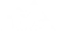 Rhino Roofing