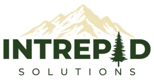 Intrepid Solutions logo